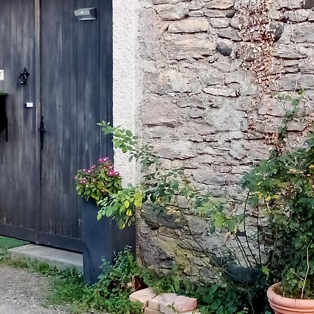 Chemin Des Ecoliers 2 Chambres Doubles Soueich 外观 照片